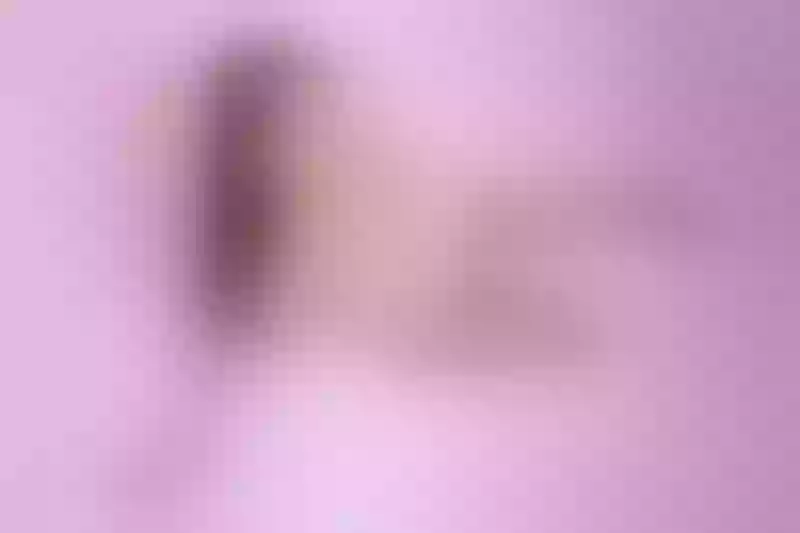 Live sex webcam photo for AnniThompson #6177752