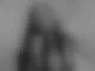 Live sex webcam photo for SharidDavis #6003001
