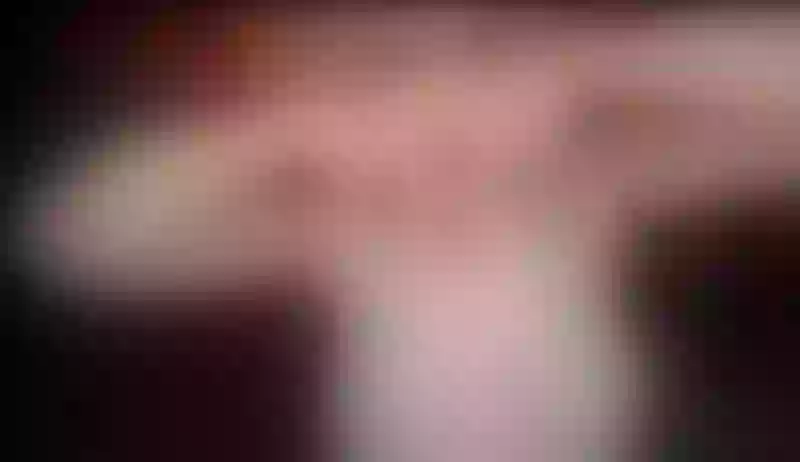Live sex webcam photo for Faiiryniaa #6286227