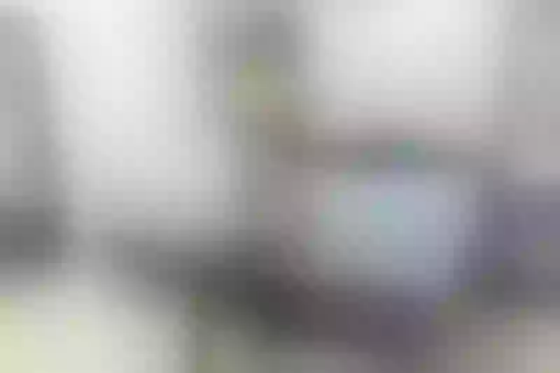 Live sex webcam photo for ElisaBukA #6144913