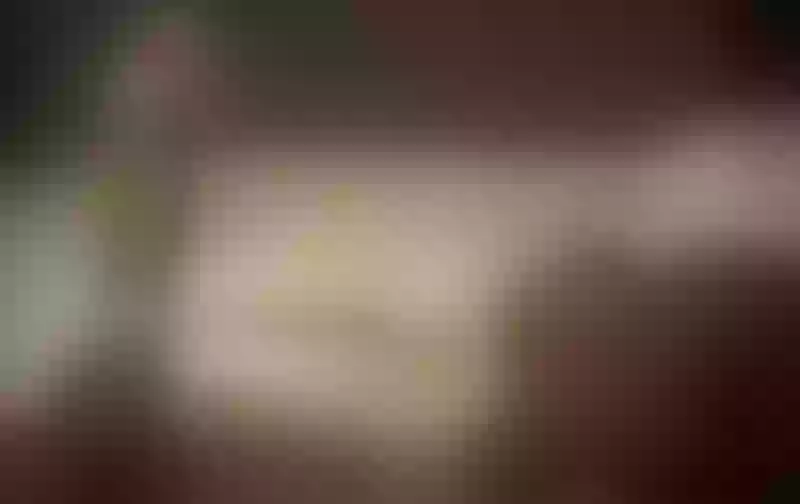 Live sex webcam photo for Jeanineescoth #6250038