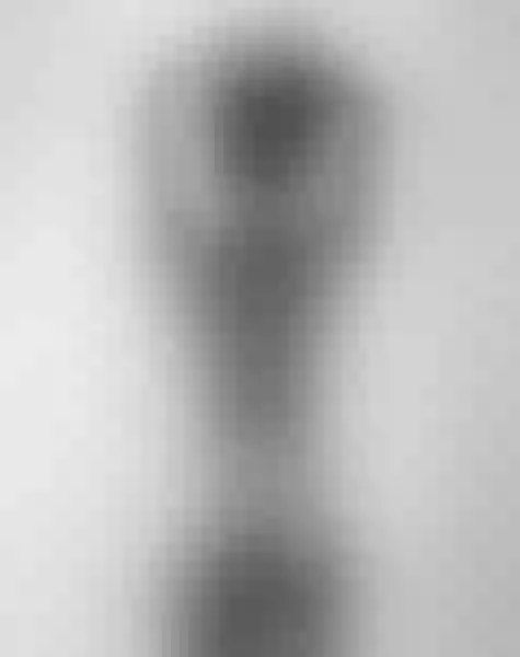 Live sex webcam photo for CloeHerrera #6355677