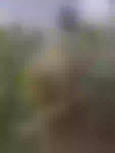 Live sex webcam photo for SelenaEvence #6333977