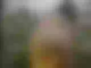 Live sex webcam photo for SelenaEvence #6353715