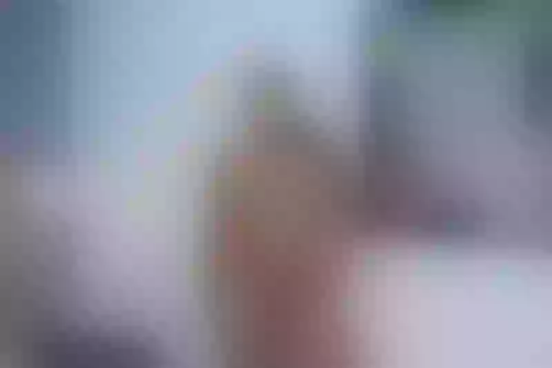 Live sex webcam photo for AliceBrownnn #6139505