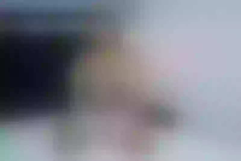 Live sex webcam photo for AliceBrownnn #6139501