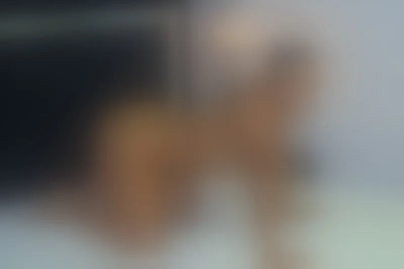 Live sex webcam photo for AliceBrownnn #6139507