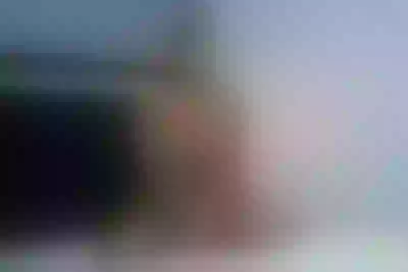 Live sex webcam photo for AliceBrownnn #6139506