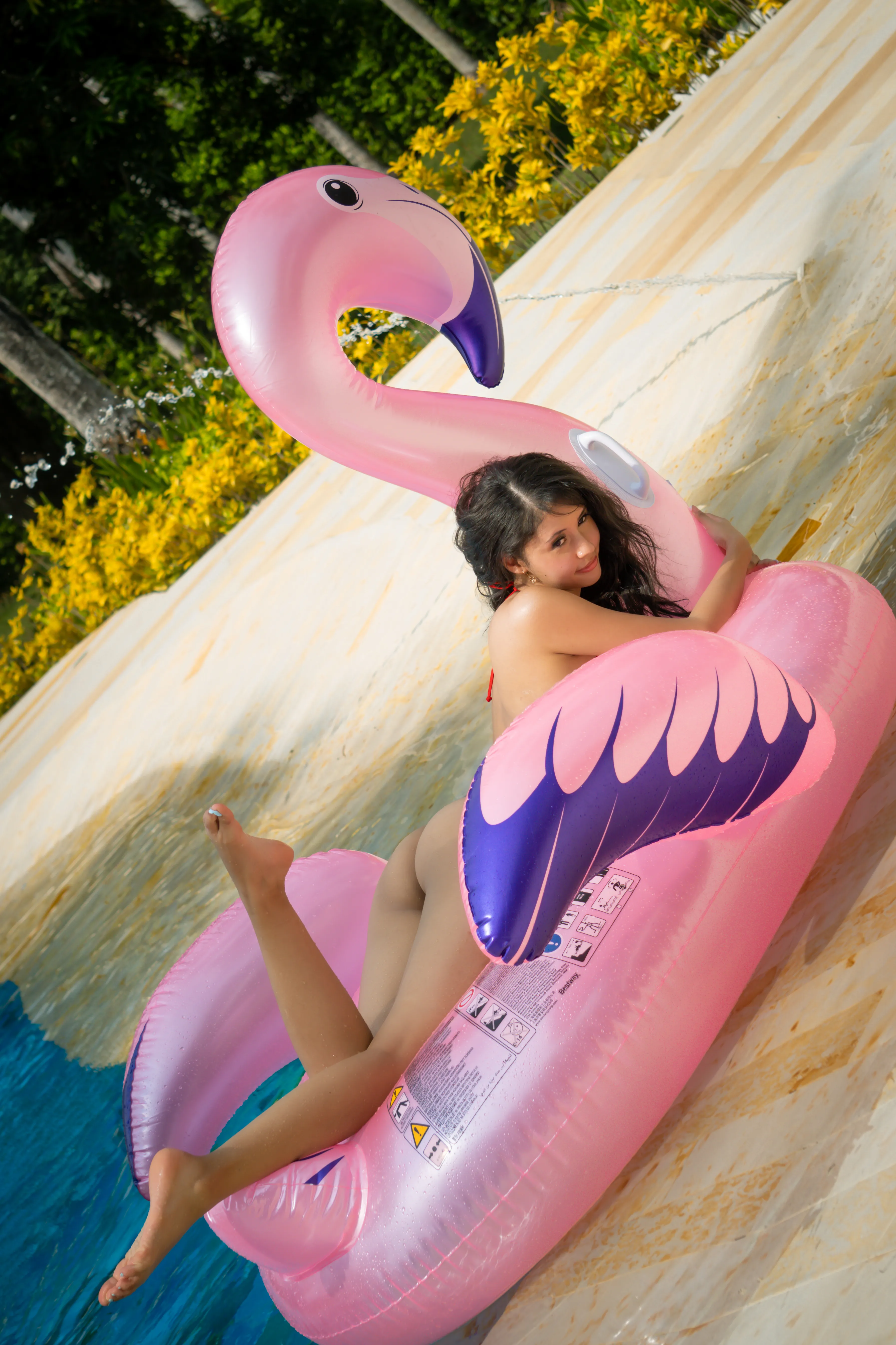 Live sex webcam photo for Antonella_Damata #8314172
