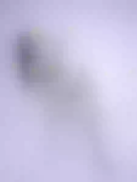 Live sex webcam photo for ArianaReynolds #6582167