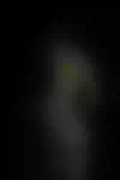 Live sex webcam photo for Annie_Flowers #6213586