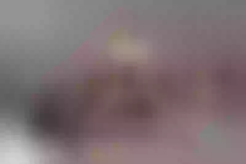 Live sex webcam photo for BonnieRobbins #6209244