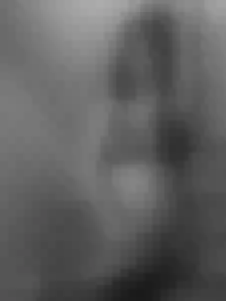 Live sex webcam photo for LaraBoss #7337049