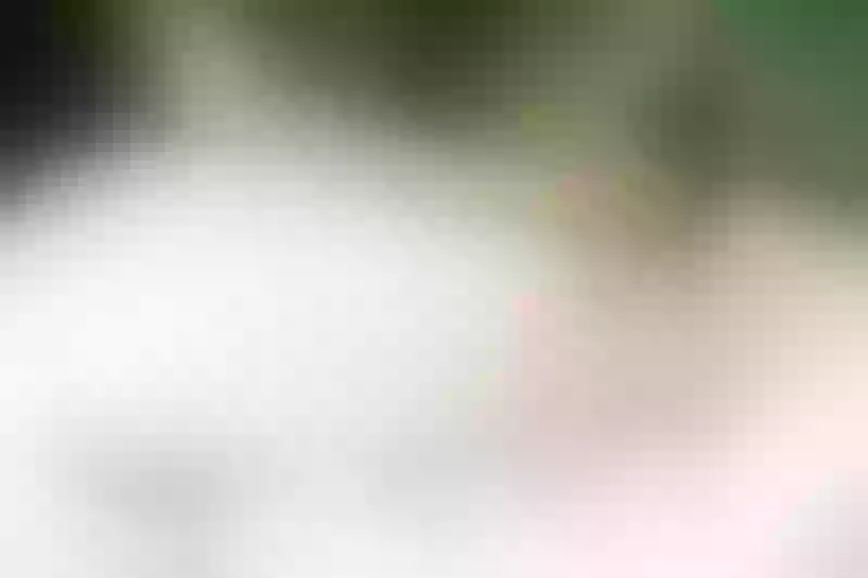 Live sex webcam photo for SamanthaaJoneess #6424363