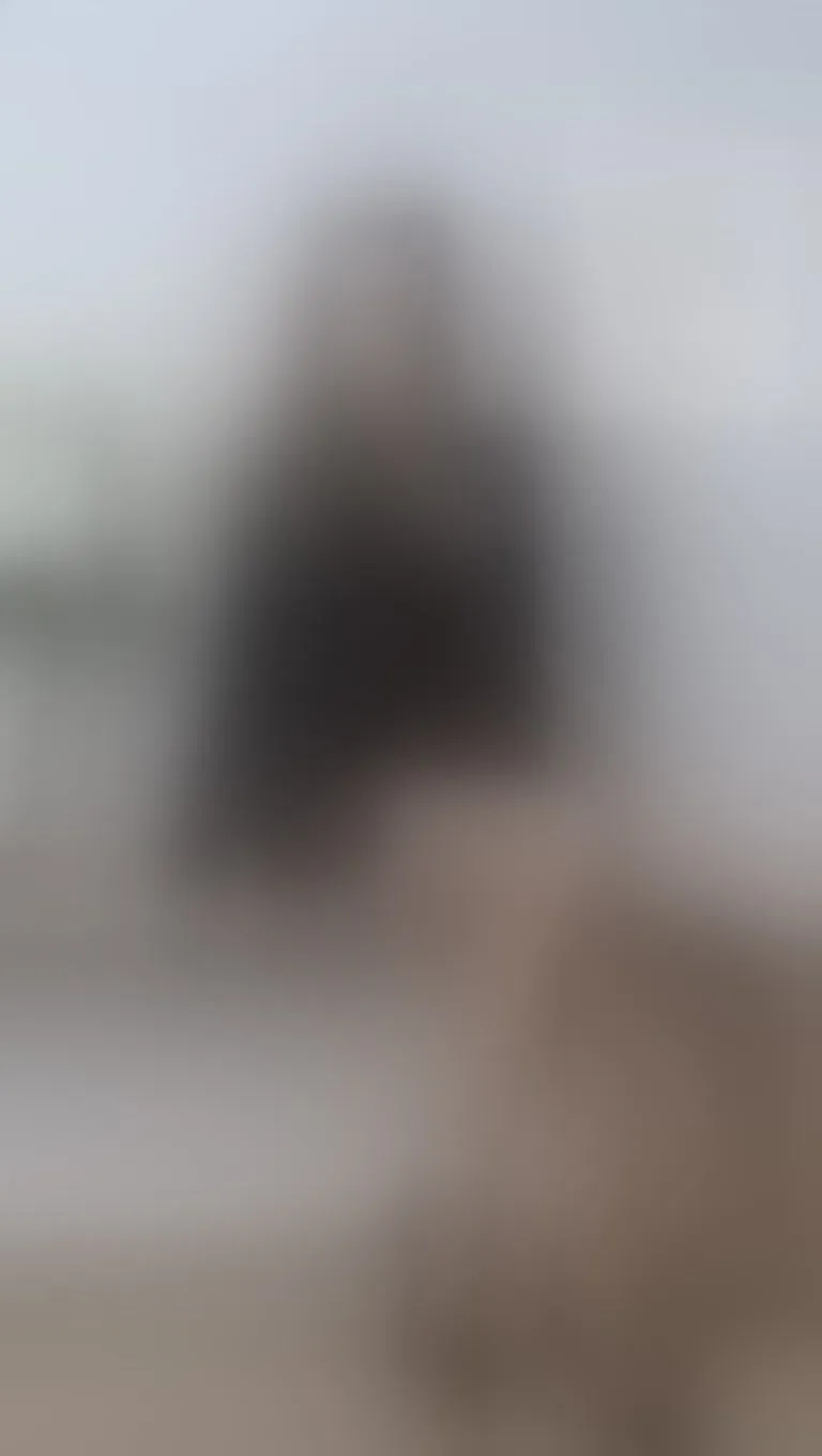 Live sex webcam photo for AshyHeavenn #8471236