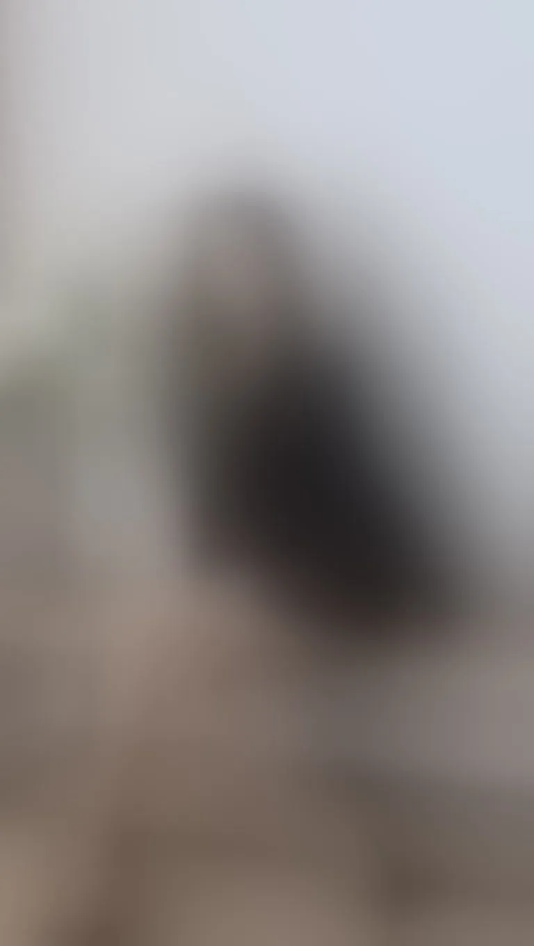 Live sex webcam photo for AshyHeavenn #8471239