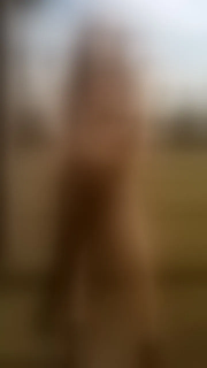 Live sex webcam photo for AshyHeavenn #8501164