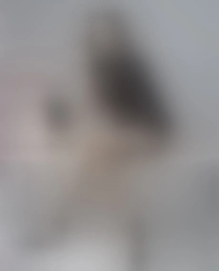 Live sex webcam photo for AshyHeavenn #8471244
