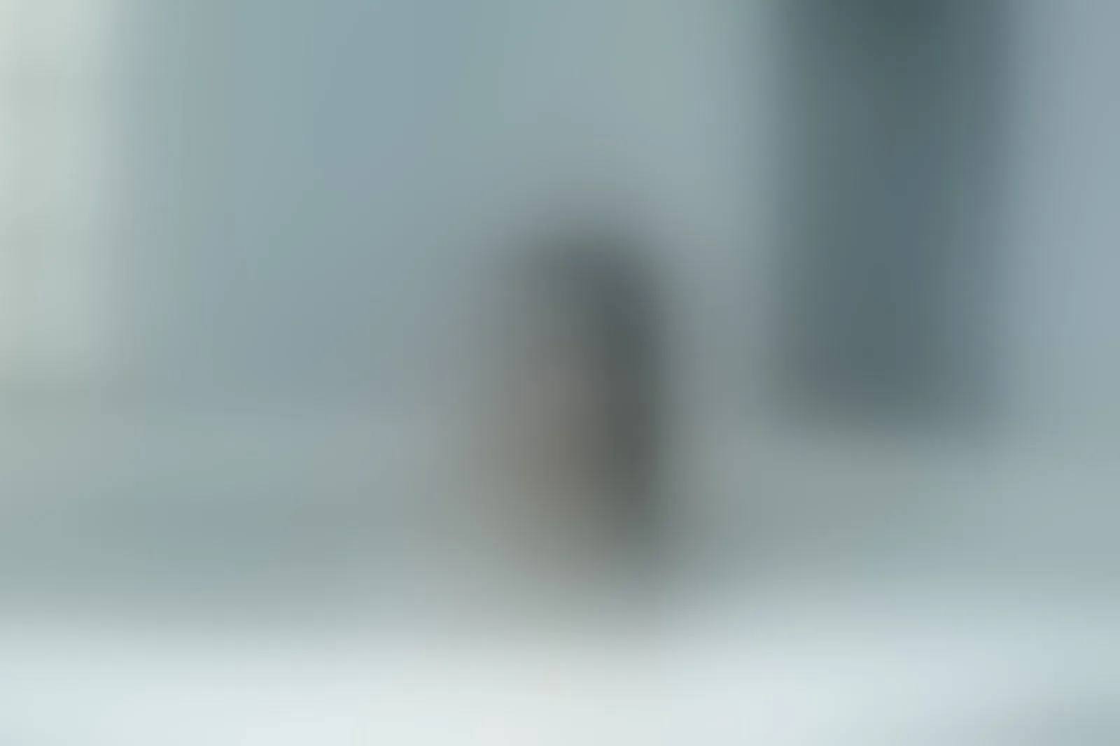 Live sex webcam photo for EveSinclaiir #8409753