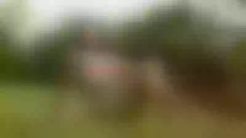 Live sex webcam photo for IreneWilliams #6310972