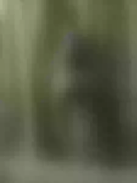 Live sex webcam photo for IreneWilliams #6310976