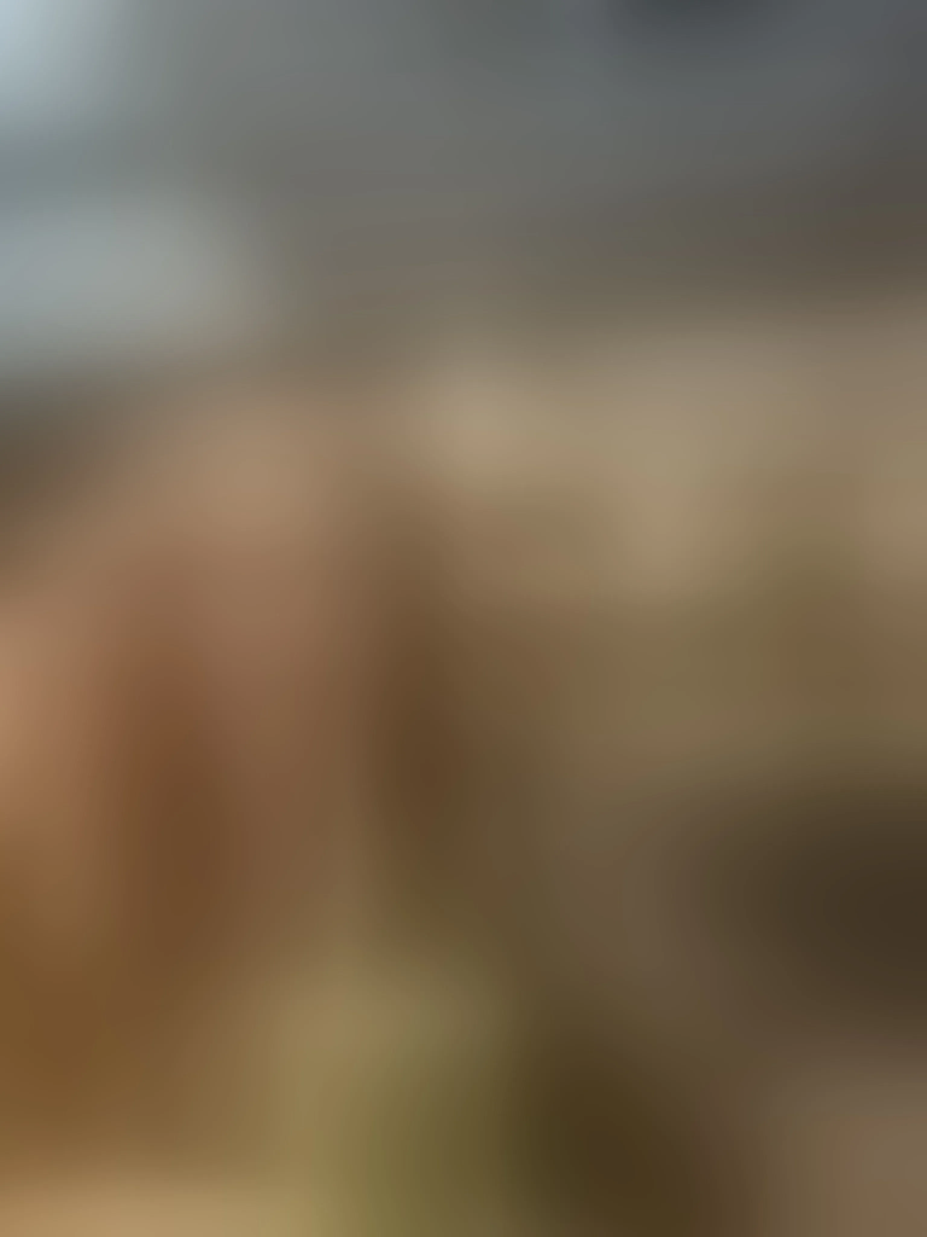 Live sex webcam photo for Kharhaa #8665946
