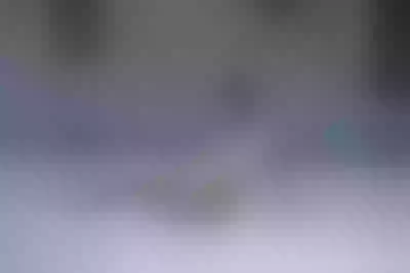 Live sex webcam photo for GaiaRain #7111479