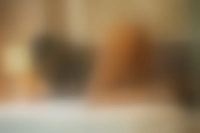 Live sex webcam photo for GeraldynMiller #6242783