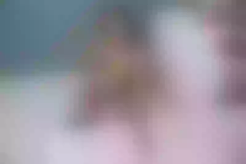 Live sex webcam photo for NovaJara #6242443