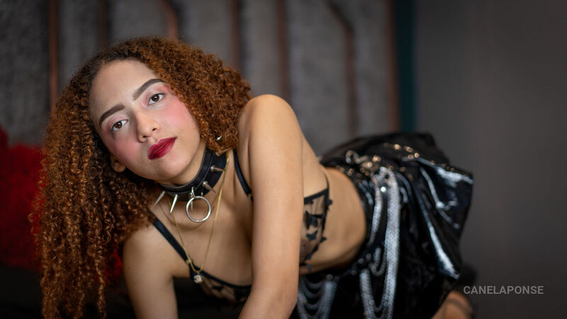 Live sex webcam photo for CanelaPonce #6281466