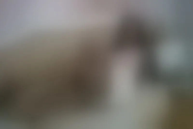 Live sex webcam photo for VanneRose #7311555