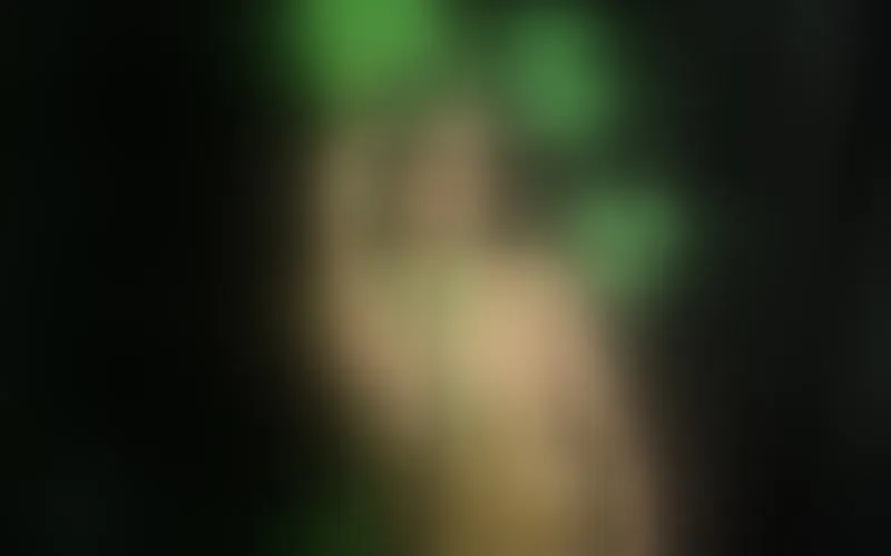 Live sex webcam photo for CarlaMarkes #6255435