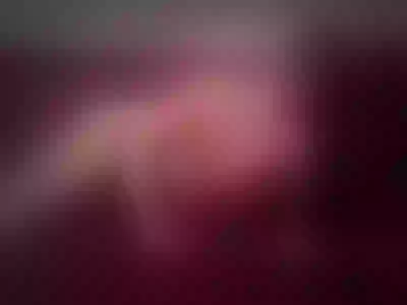 Live sex webcam photo for AnaaFox #6275647