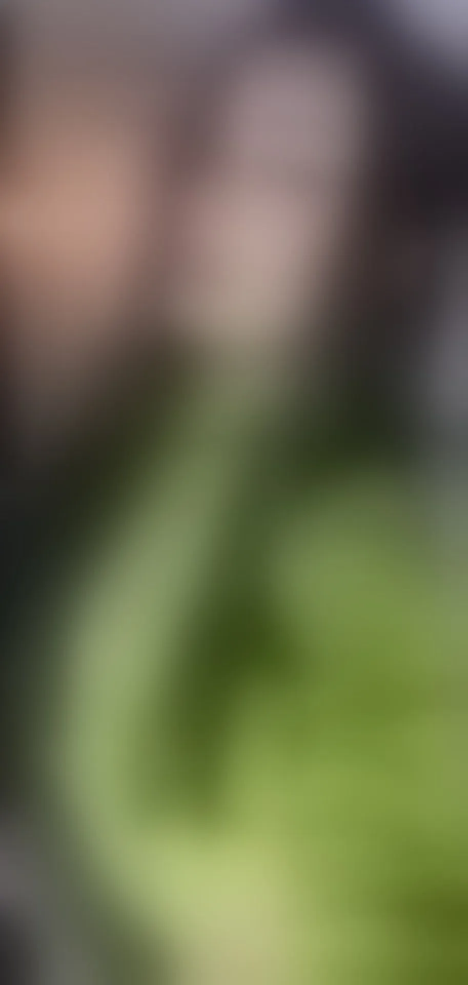 Live sex webcam photo for MaryBlaiir #8386303