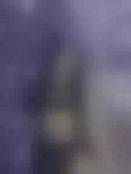 Live sex webcam photo for AshlyFerer #7100706