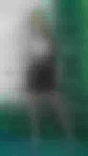 Live sex webcam photo for Lizylorente #7419638