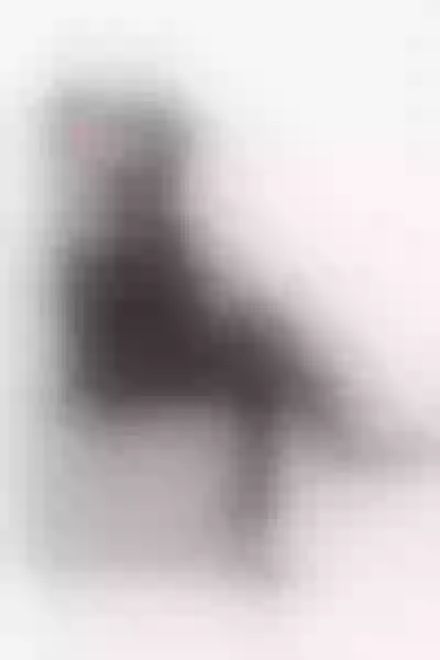 Live sex webcam photo for Lizylorente #7419623