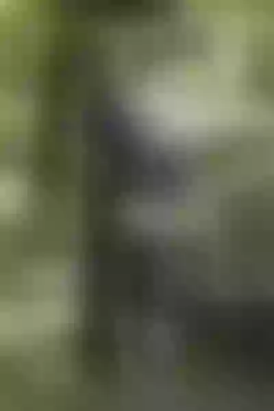 Live sex webcam photo for Lizylorente #7419674