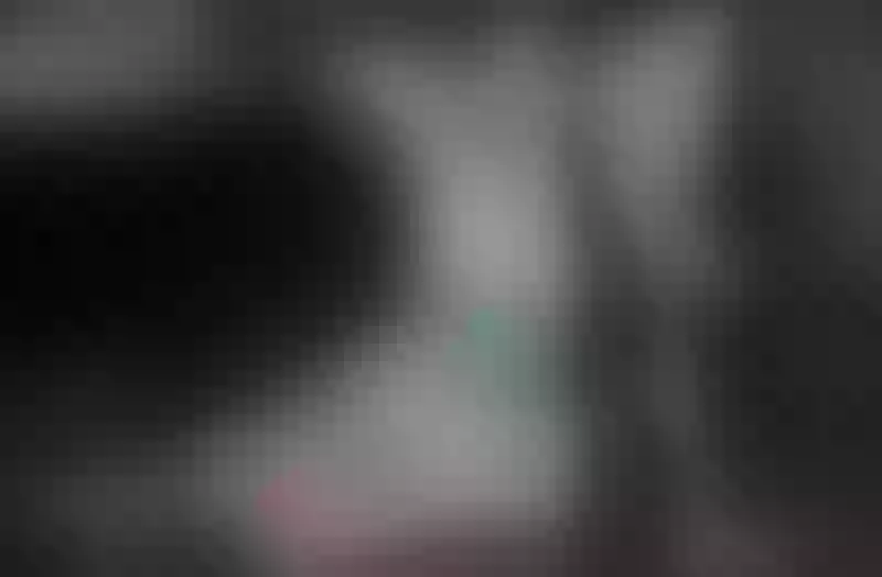 Live sex webcam photo for Lizylorente #7419676