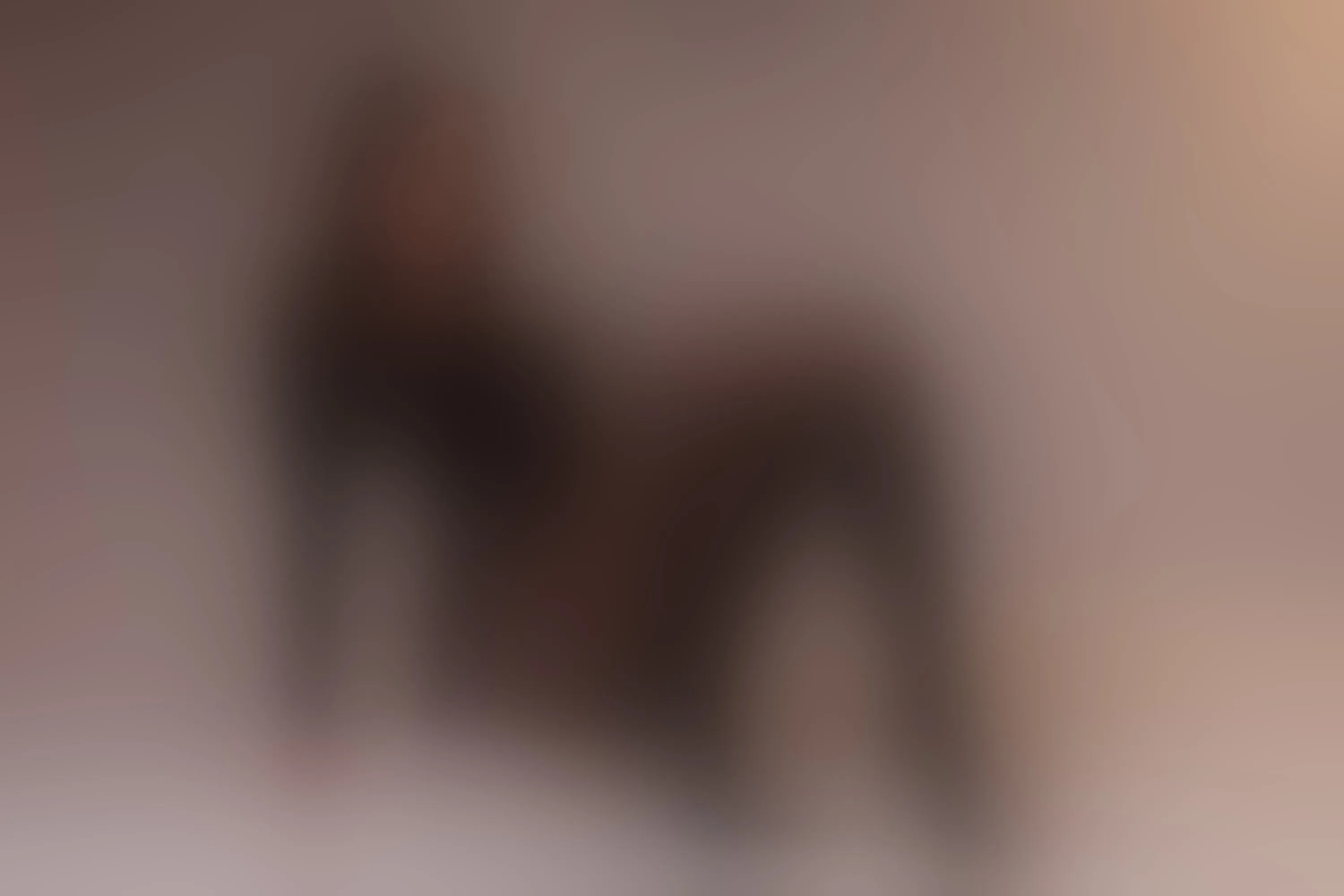 Live sex webcam photo for LiaBalden #8477132