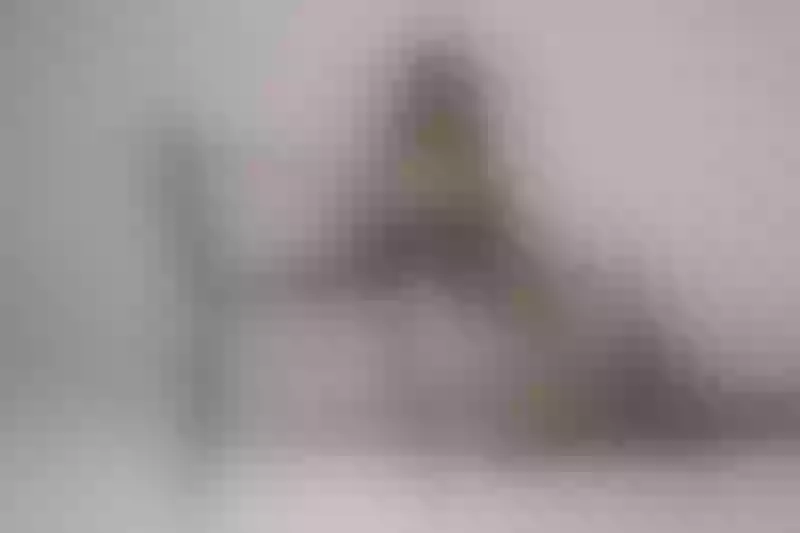 Live sex webcam photo for MiiaRossee #6281856