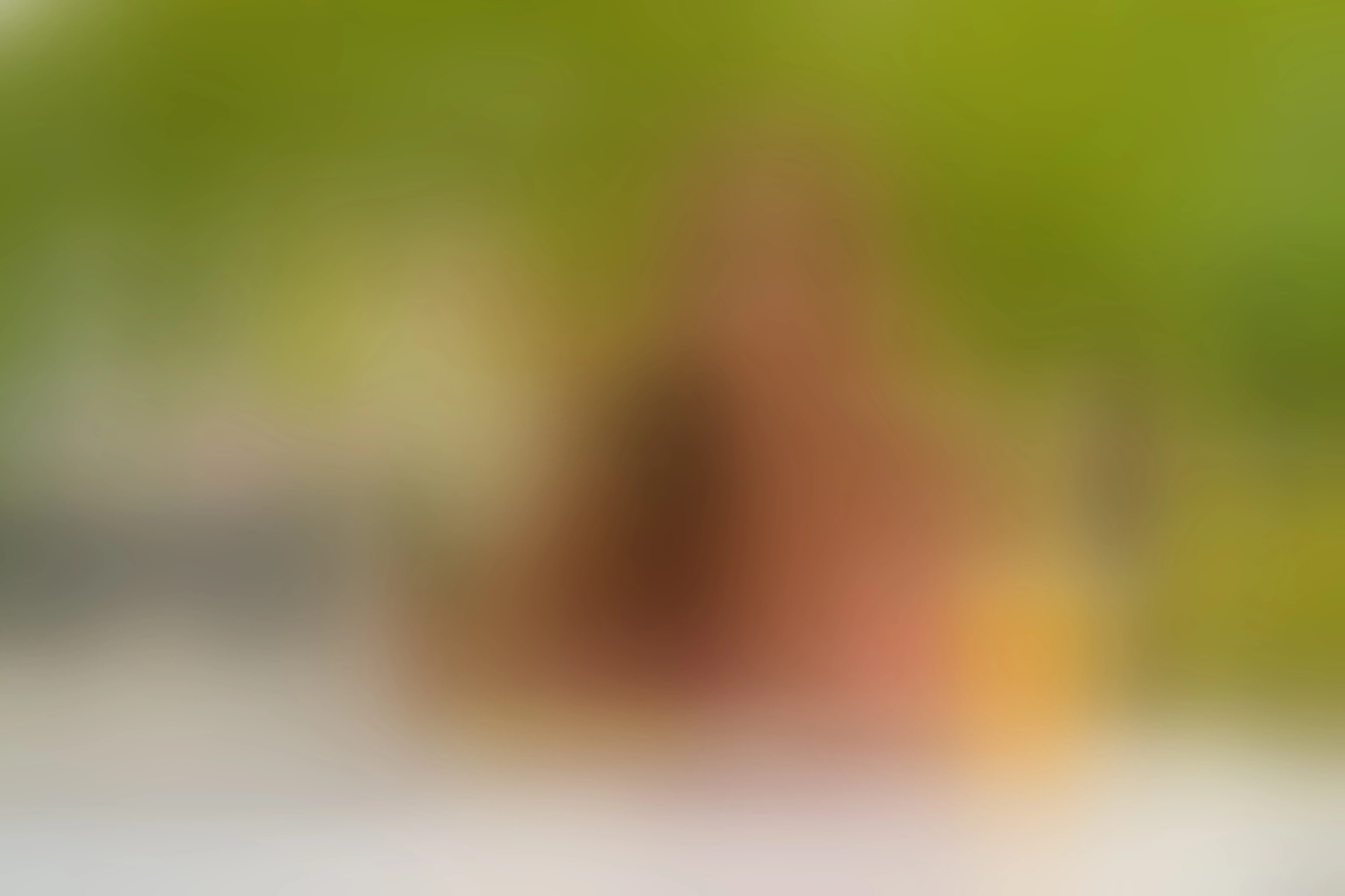 Live sex webcam photo for KasanndraMilf #8666781