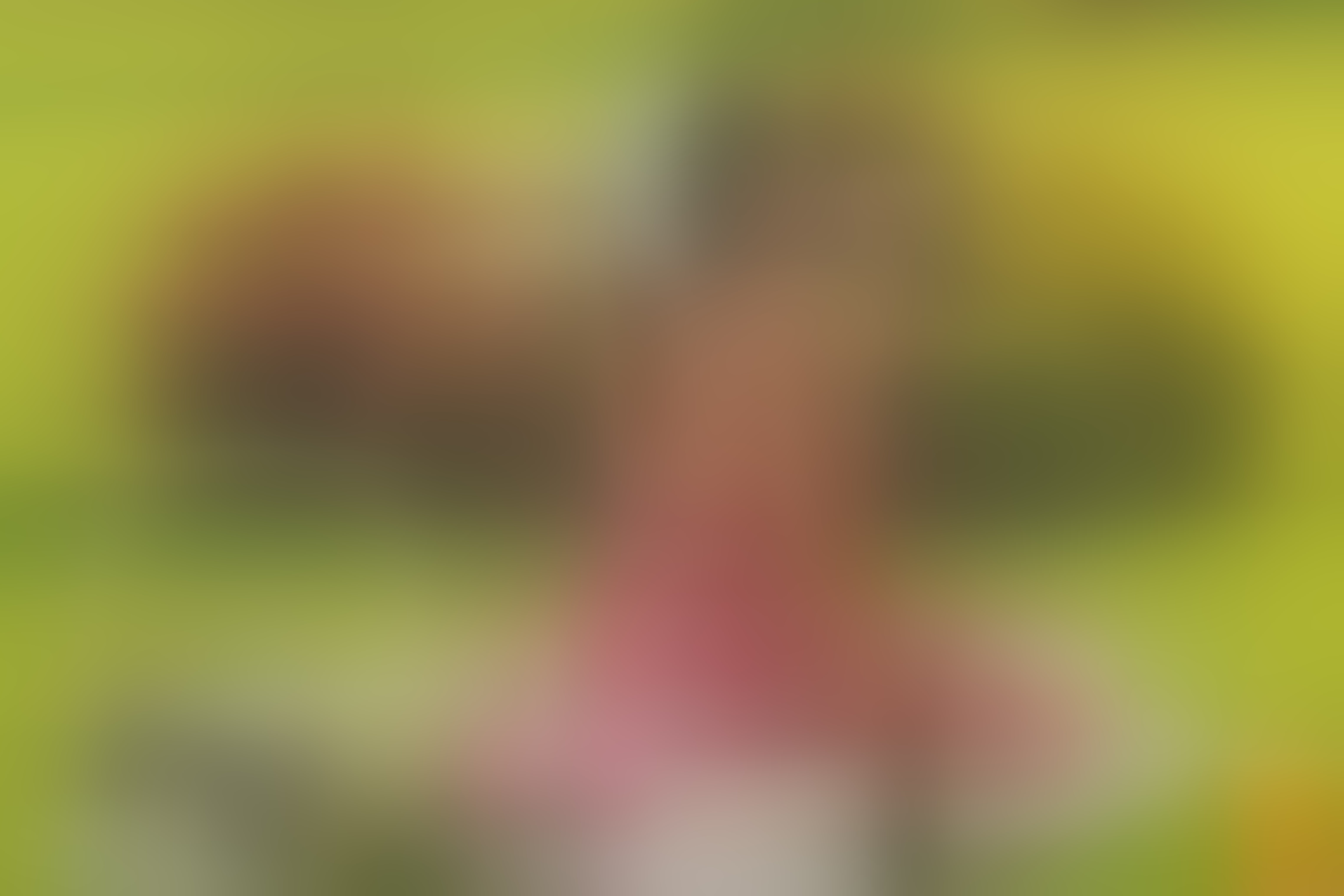 Live sex webcam photo for KasanndraMilf #8666767