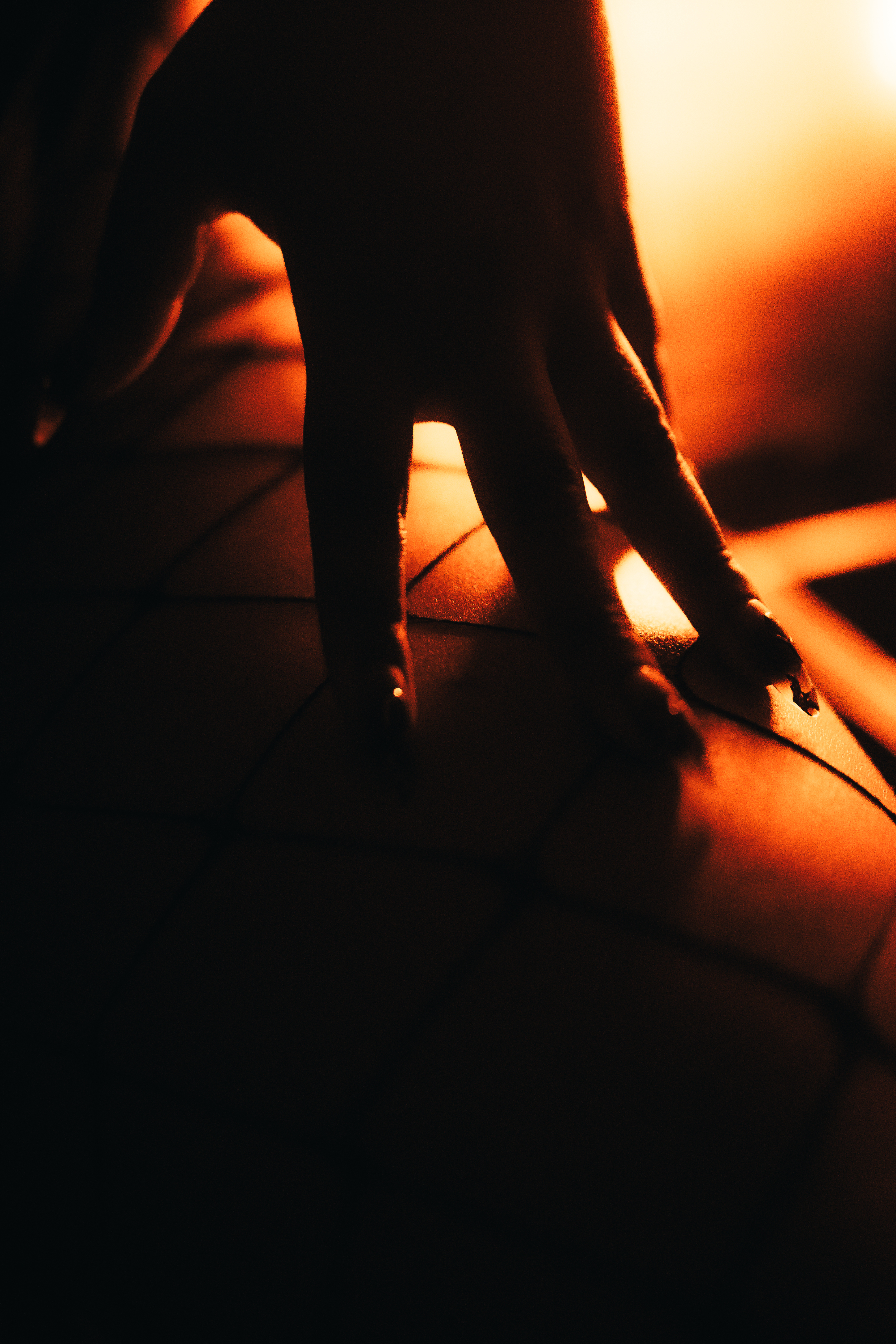 Live sex webcam photo for NovaSwan #7784136