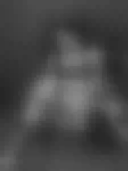 Live sex webcam photo for AlaeBigAss #7806983