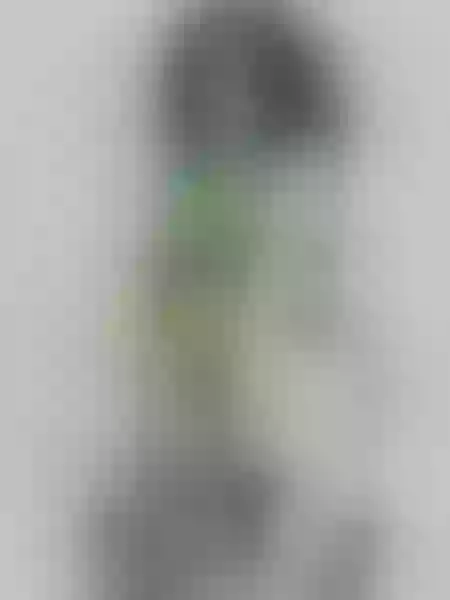 Live sex webcam photo for AlaeBigAss #7806933