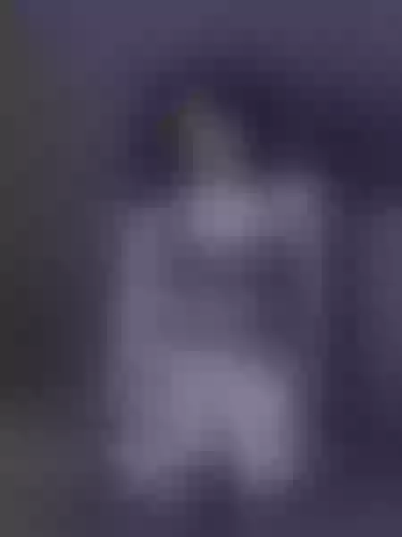 Live sex webcam photo for AlaeBigAss #7806974