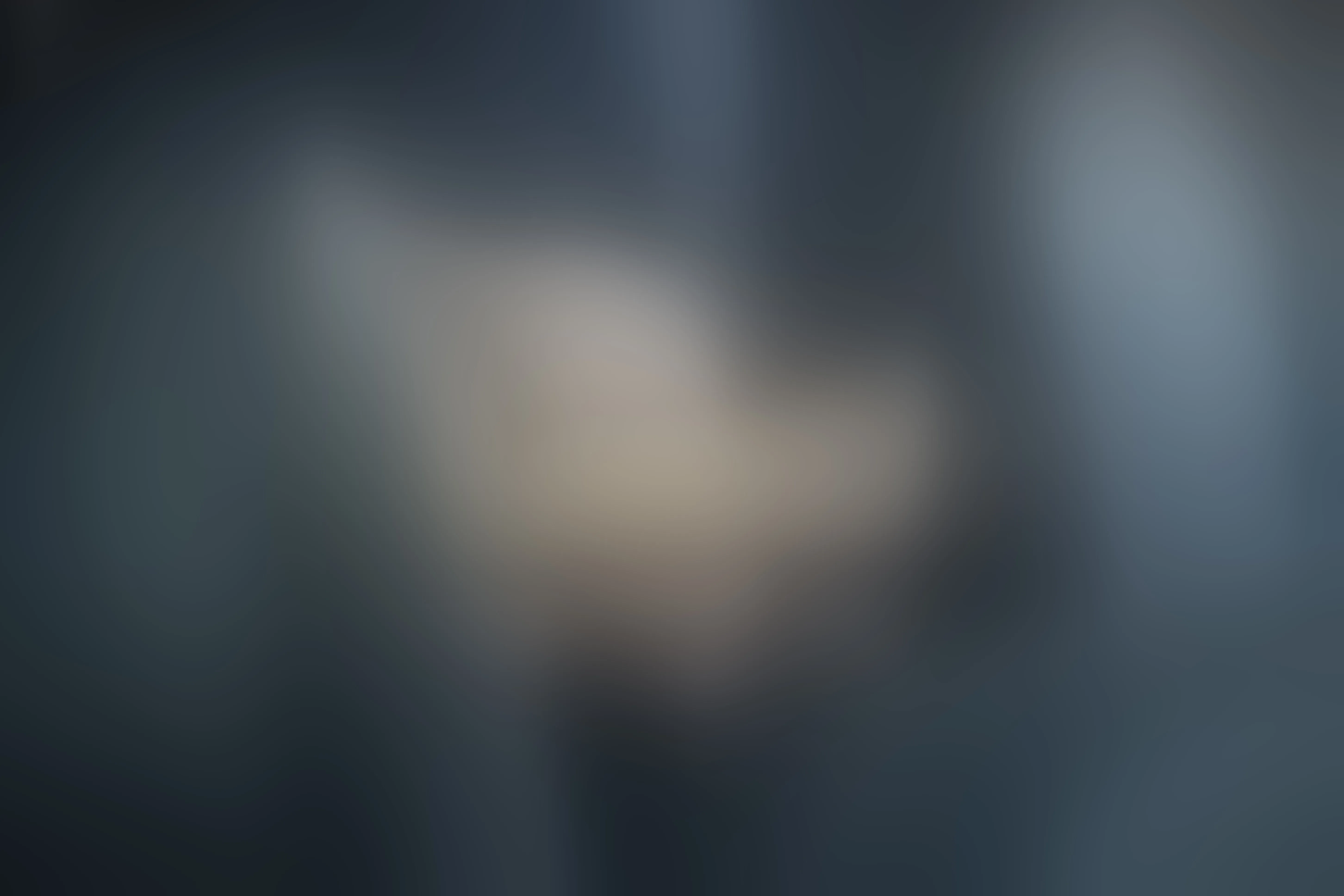Live sex webcam photo for MayaVixxen #8580770