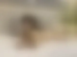 Live sex webcam photo for AndreClark #6309902