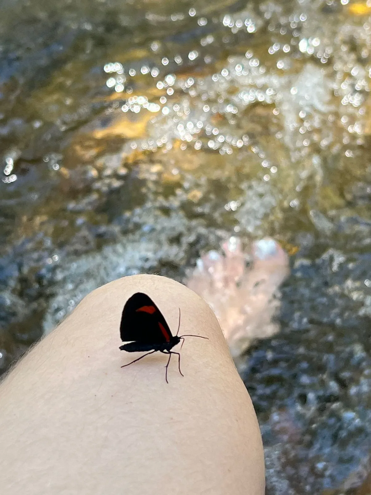 Live sex webcam photo for VicktoriaLou #8020057